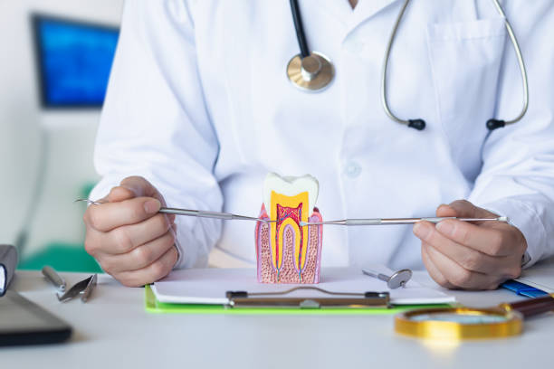 Best Broken or Cracked Tooth Emergency Dentist in La Harpe, IL